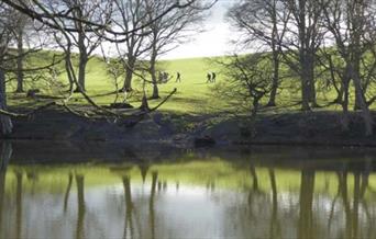 Circular Walk 3 - Fachwen Pool