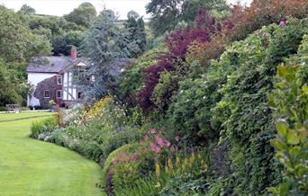 Cwm Weeg - Great lawn border