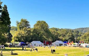 Guilsfield Show