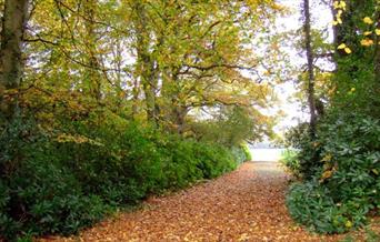 Llanercharon grounds in the Autumn