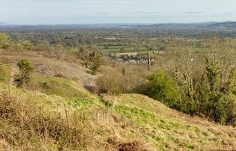 Llanymynech Rocks Nature Reserve NRW