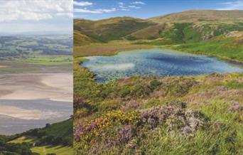Llyn Barfog