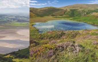 Llyn Barfog