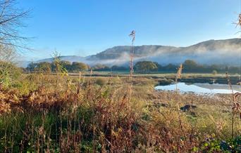 RSPB Ynys-hir