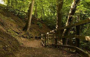 Abermule and Bettws Cedewain (Cycle Route)