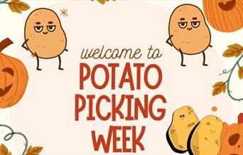 Half Term Potato Picking Week at Fantasy Park