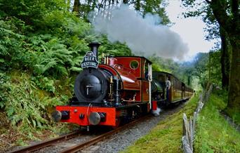 Summer Beer Festival | Talyllyn Railway