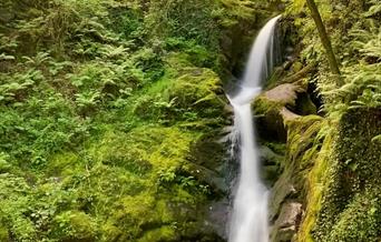 The lower falls at Dolgoch