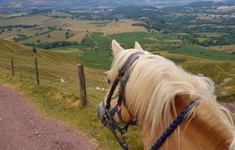 Tregoyd Mountain Riders