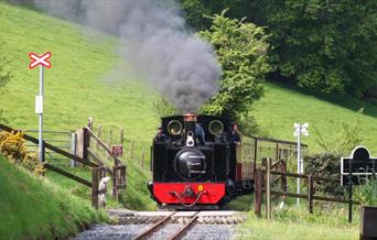 Steam Gala 2025 | Vale of Rheidol Railway