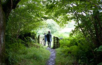 Woodland Walk