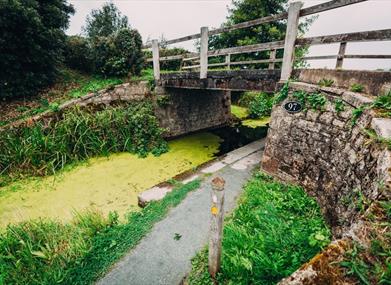 The Montgomery Canal near the Offa's Dyke Path in Powys