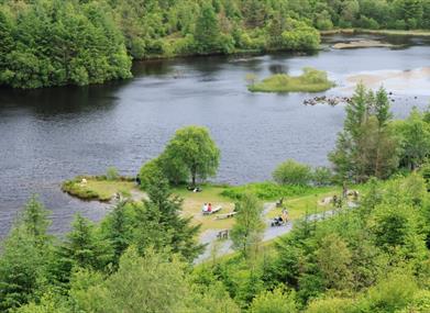 Looking down on the lake among the forest at Bwlch Nant yr Arian near Aberystwyth
