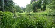 Powis Castle | Wildlife Pond & Woodland