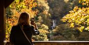 Devil's Bridge Falls | Viewing Point