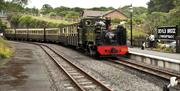 Image Credit: Vale of Rheidol Railway