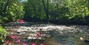 Properties benefit from being next to the stream and the river Yscir.