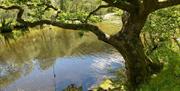 River Irfon