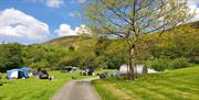 Woodlands Caravan Park - Spring time