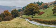 Llwybrau Mawddwy Paths