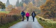 Llwybrau Mawddwy Paths