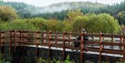 Llwybrau Mawddwy Paths | Accessible Trail