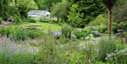 The blue garden filled with spring flowers with lawn in the background