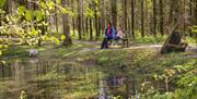 Cwm Rhaeadr Woodland