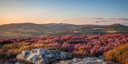 Brecon Beacons | Black Mountains