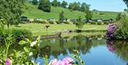 Hidden Valley Holiday Home Park Welshpool