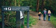 Waymarked walking trail, Gogerddan Wood