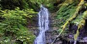 Warren Wood Waterfalls