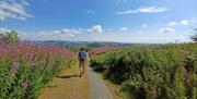 Cwm yr Efail walking trail