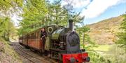 Loco No.4 'Edward Thomas' waits at Quarry Sidings to cross with another train.  Pic Barbara Fuller