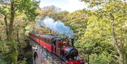 One of the original Loco's, No.2 'Dolgoch' crosses the viaduct which shares it's name.  The loco has been in use since 1866 and is still used at the R