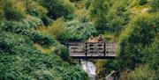 Hafren Forest | Blaen Hafren Falls Trail