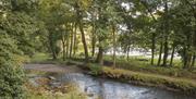 Llanerchaeron Woodlands