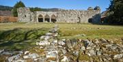 Cymer Abbey