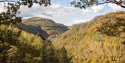 Rheidol Valley