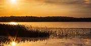 Llangorse Lake at Sunset