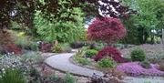 A gravel path in a circle, surrounded by red0leaved shrubs and pink flowering plants.