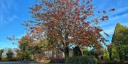 Derwen Mill Holiday Park in Guilsfield, near Welshpool, looks so different throughout the differing seasons. Here we see how lovely it looks in Autumn