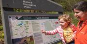 Cwm Rhaeadr Woodland