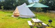Wild Meadow Camping in Ceredigion - bell tent