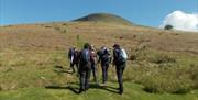 Talgarth Walking Fsetival