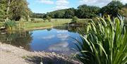 A great place to sit while you are planning how to tour, explore and enjoy beautiful Mid Wales.