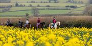 Image Credit: Visit Mid Wales