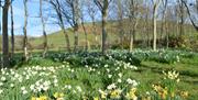 Grounds at Hendy Farm B & B