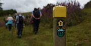 Walkers on path towards Llandrindod