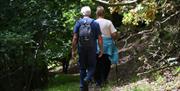 Heart of Wales Line - Trails